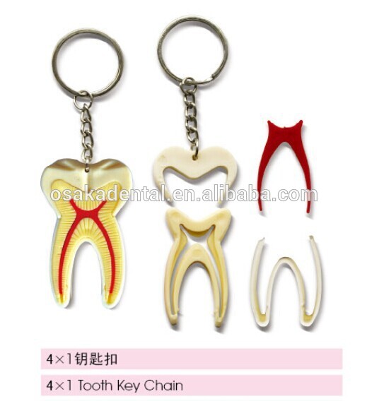 llavero / accesorios dentales / productos culturales dentales / accesorios dentales orales