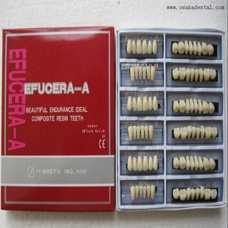 Dientes de resina dental con 6 juegos completos en una caja